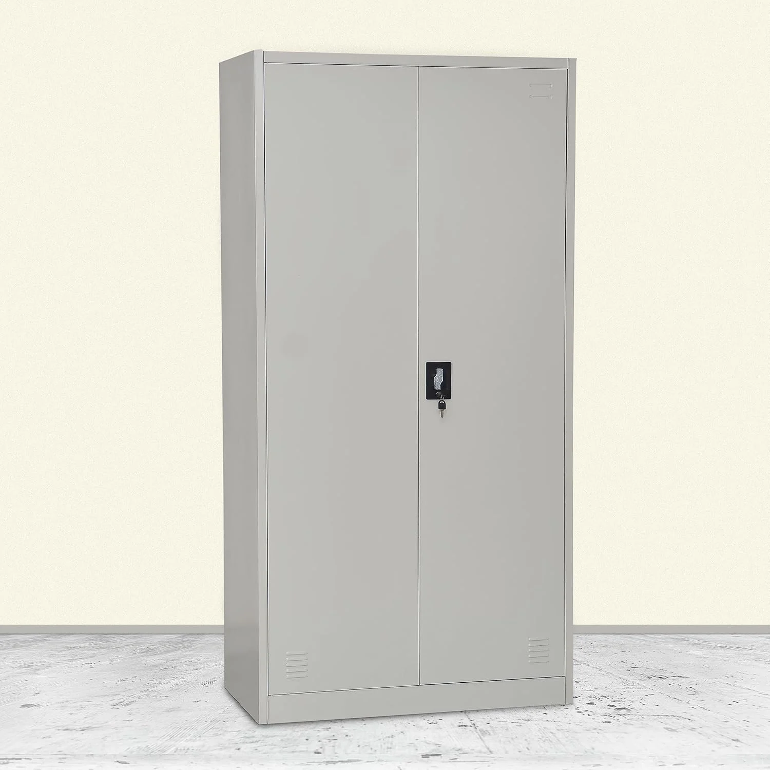 2 Door Full Metallic Cabinet
