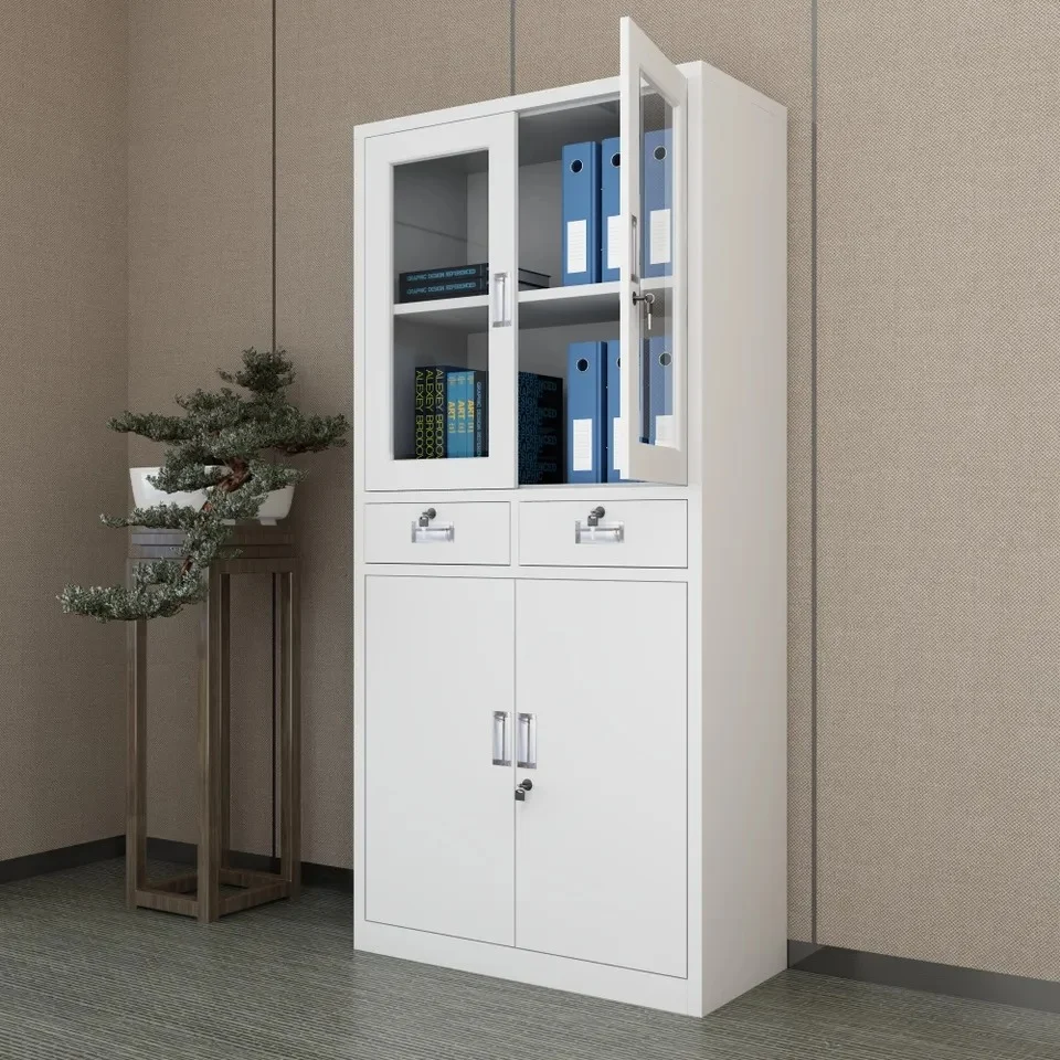 2 Door Metallic Cabinet
