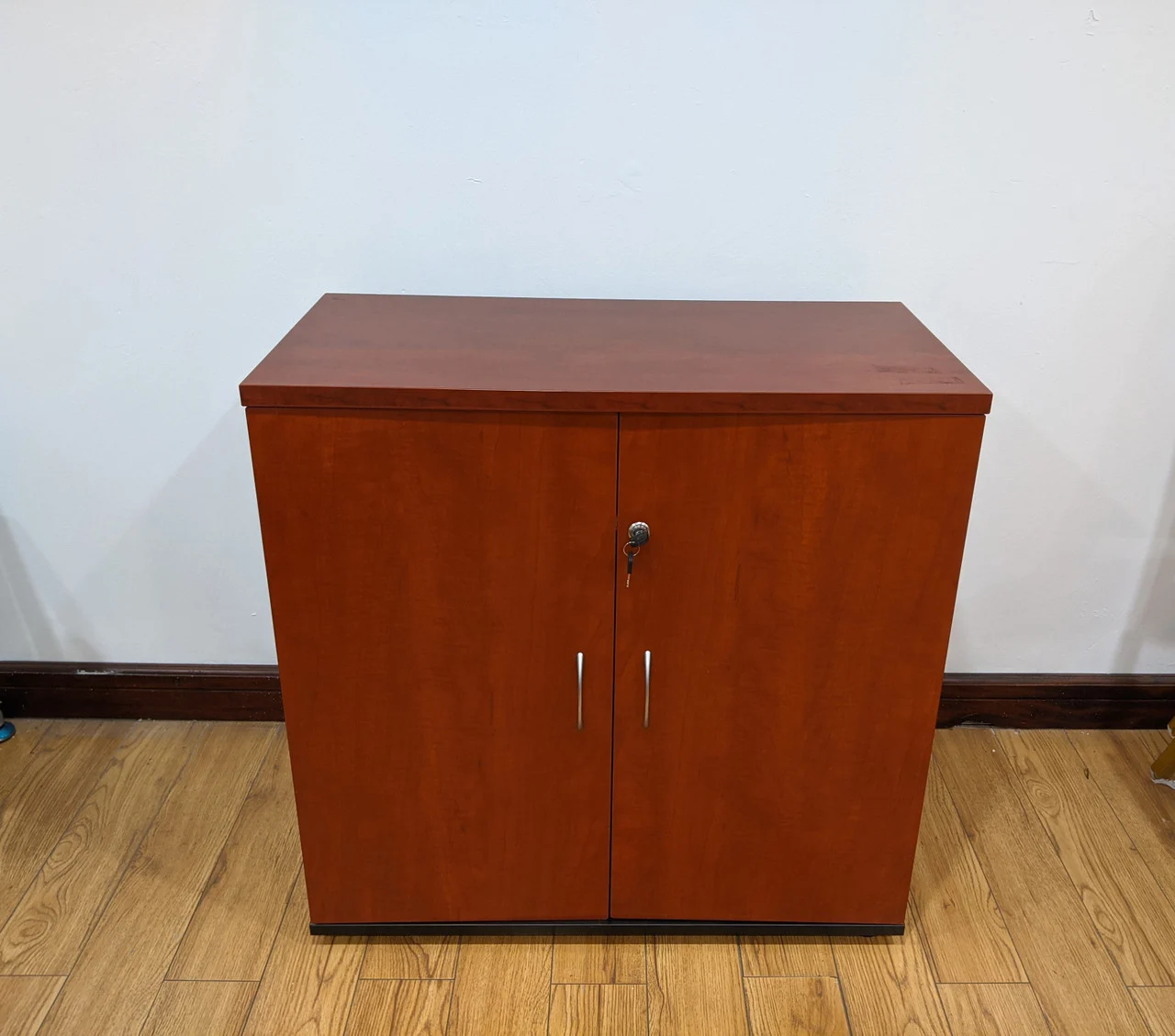 Executive Cabinet Storage