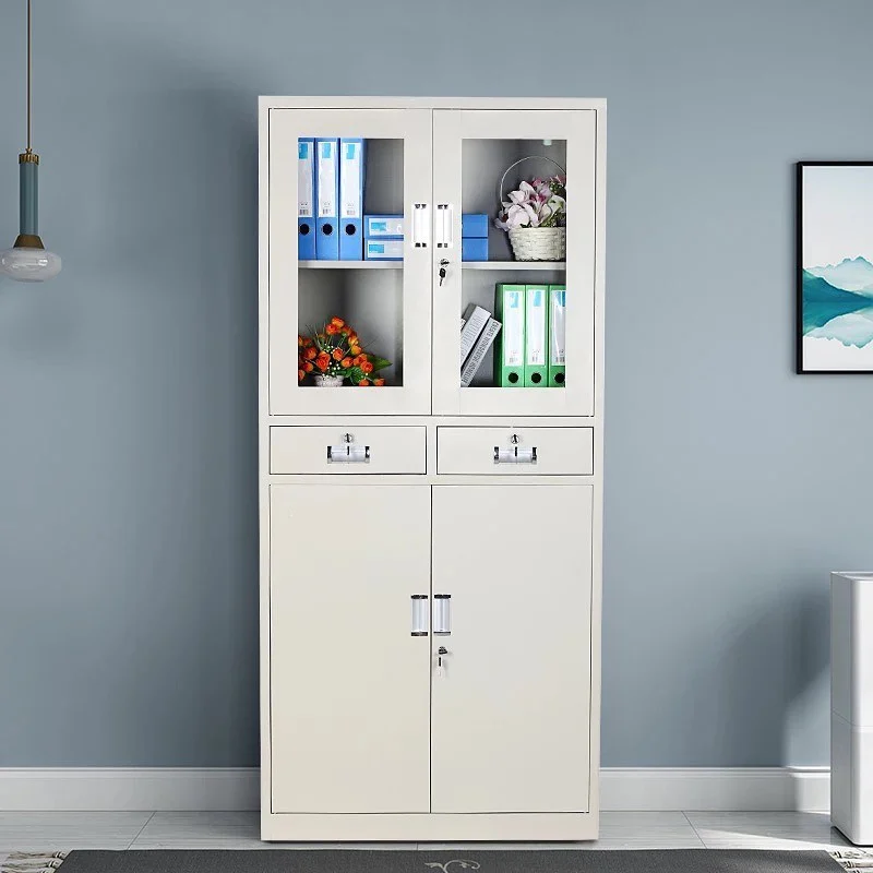 2 Door Metallic Cabinet