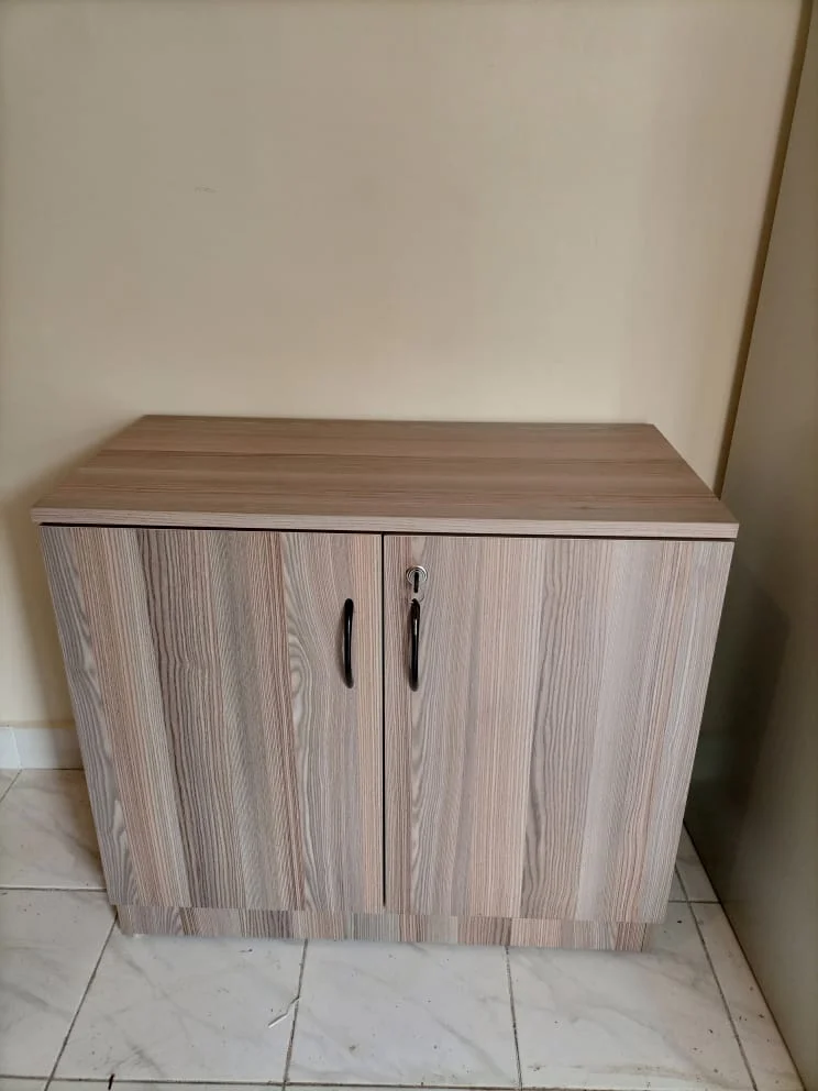 Executive Cabinet Storage