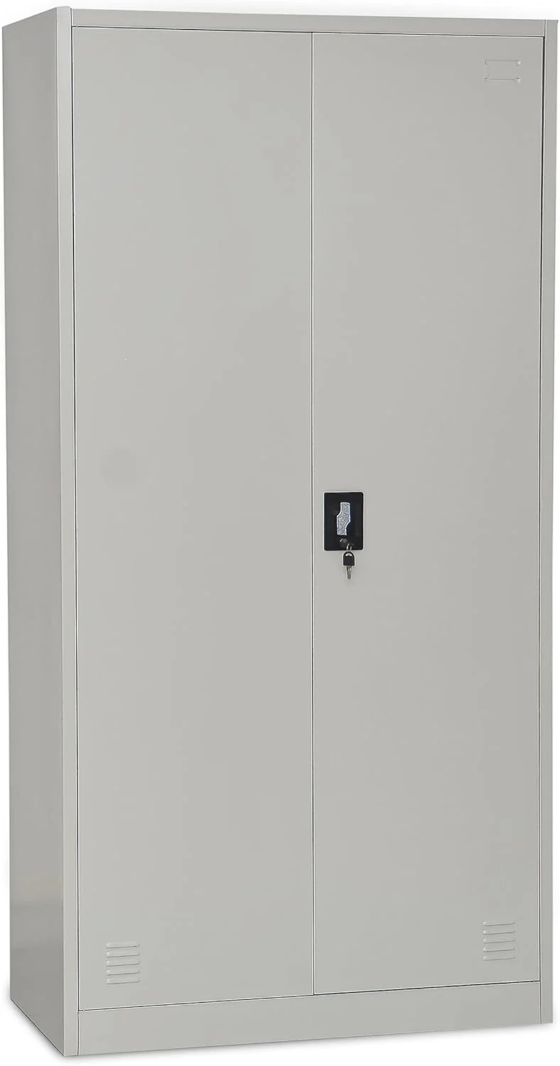 2 Door Full Metallic Cabinet