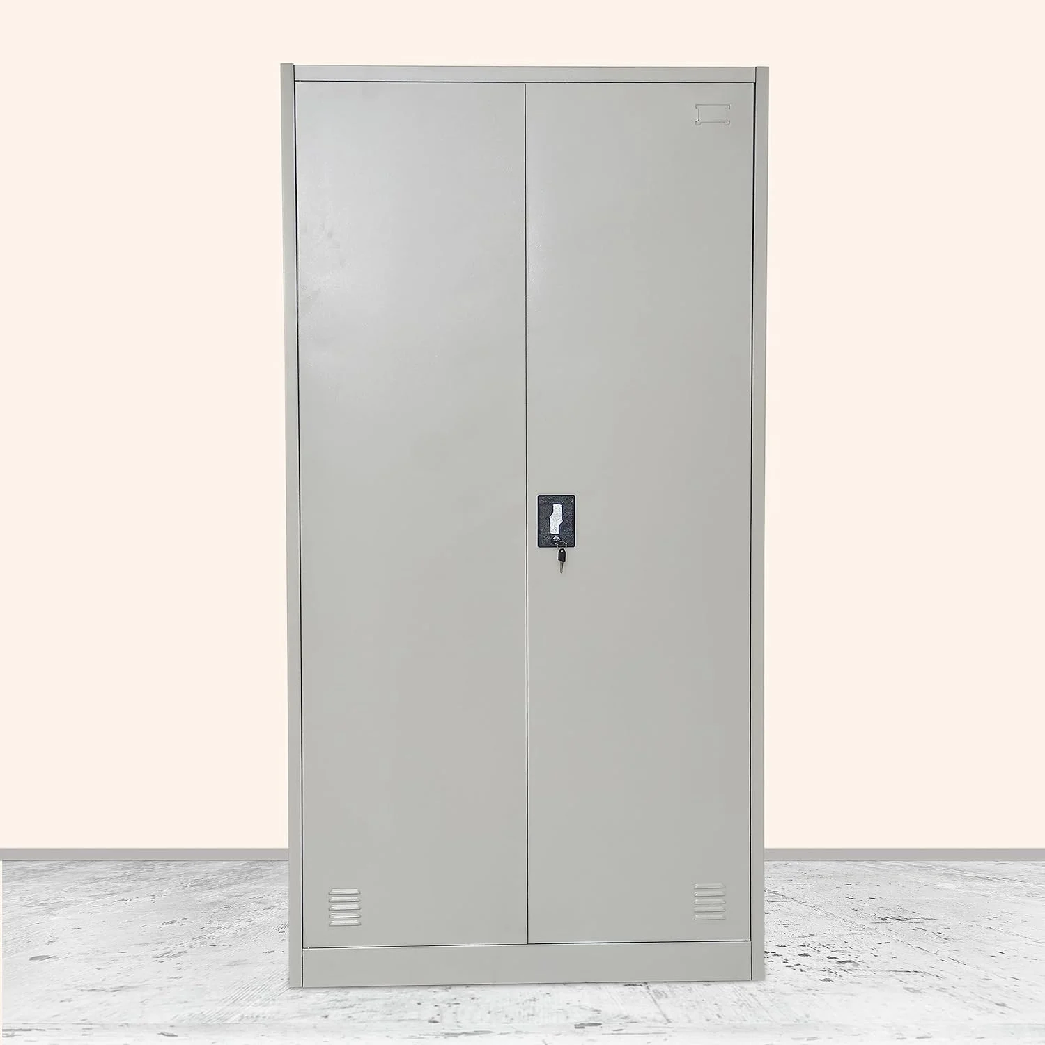 2 Door Full Metallic Cabinet
