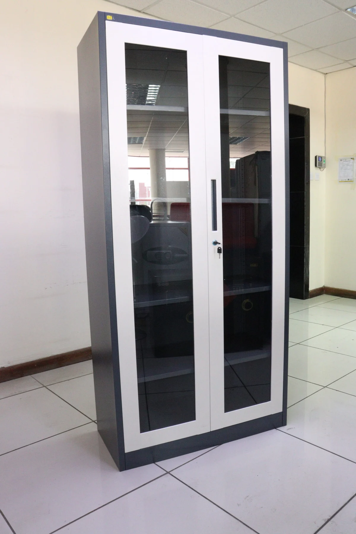 2 Door Full Glass Metallic Cabinet